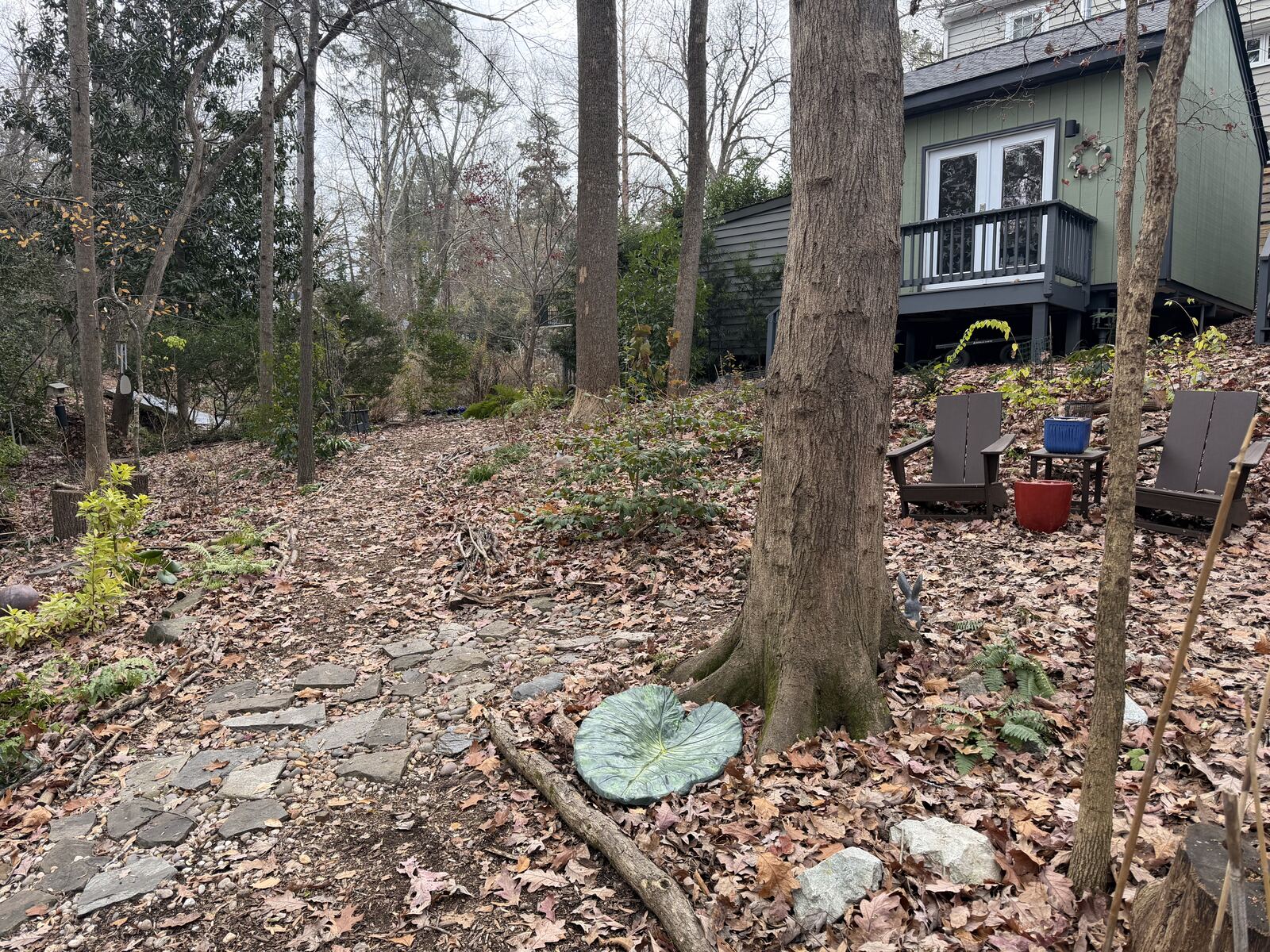 Wide view of the leaf cast placed at the base of a red maple in the garden